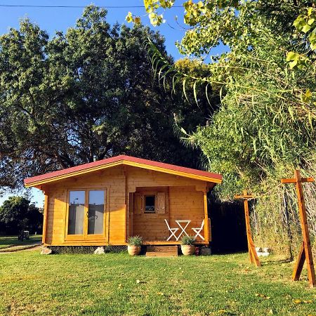 Woodhouse Villa São Pedro do Estoril Екстериор снимка