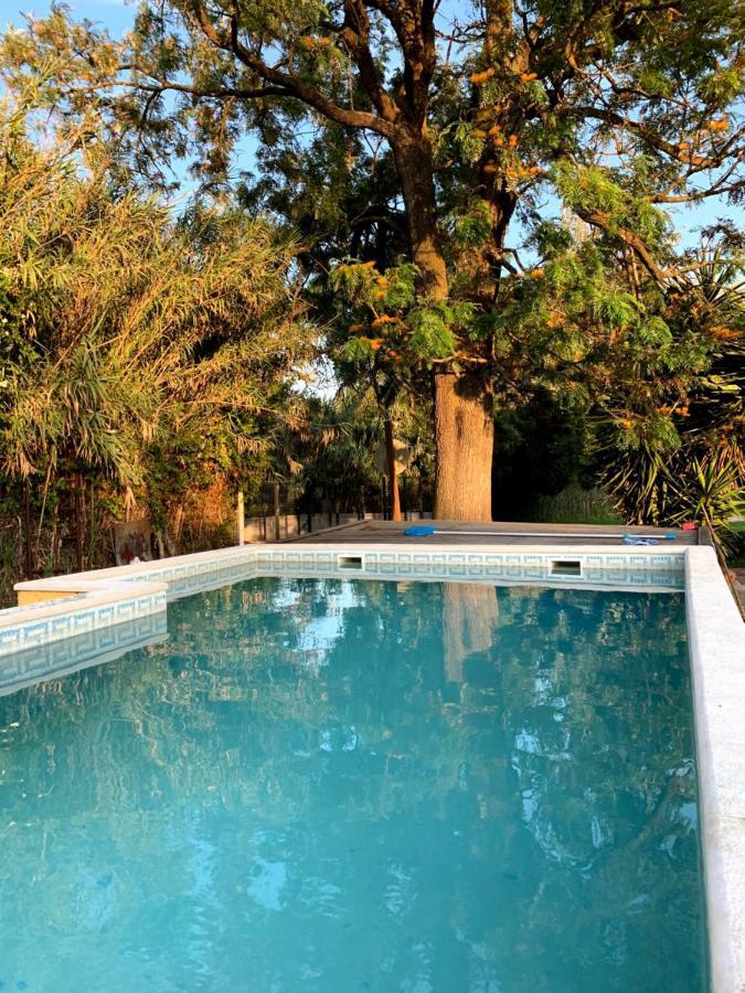 Woodhouse Villa São Pedro do Estoril Екстериор снимка